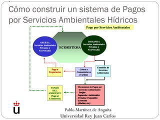 .
Cómo construir un sistema de Pagos
por Servicios Ambientales Hídricos
Pablo Martínez de Anguita
Universidad Rey Juan Carlos
 