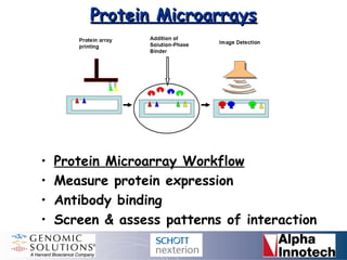 Protein Microarrays: Approaches to Printing | PPT