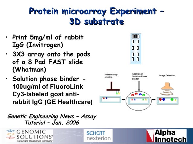 protein microarrays approaches to printing protein array
