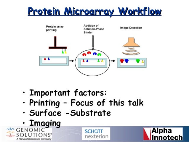 protein microarrays approaches to printing protein array