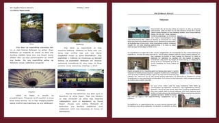 Pictorial Essay | PPT