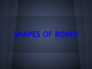 SHAPES OF BONES
 
