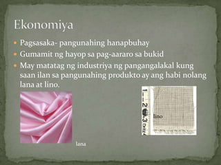  Pagsasaka- pangunahing hanapbuhay
 Gumamit ng hayop sa pag-aararo sa bukid
 May matatag ng industriya ng pangangalakal kung
saan ilan sa pangunahing produkto ay ang habi nolang
lana at lino.
lana
lin0
 