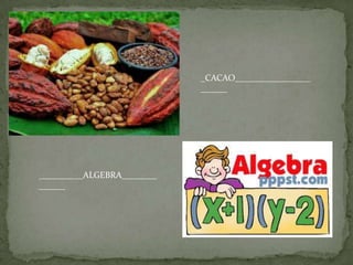 _CACAO_________________
______
__________ALGEBRA________
______
 