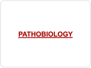  PH has a multifactorial pathobiology:
 Imbalance in vasoconstriction and vasodilation
 Thrombosis,
 Cell proliferatio...