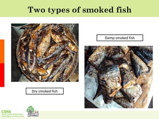 Formation of polycyclic aromatic hydrocarbons in traditionally smoked fish released for consumption in Côte d’Ivoire