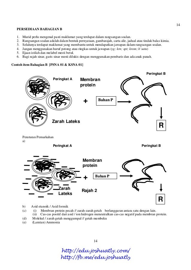 Contoh Hipotesis Sains - Contoh Si