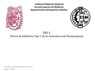 PAI-1
(Factor de Inhibición Tipo 1 de los Activadores de Plasminogeno)
Angeles Garibay Sergio Oswaldo.
Grupo 3CM2.
Instituto Politécnico Nacional
Escuela Superior de Medicina.
Departamento de Bioquímica Médica.
 