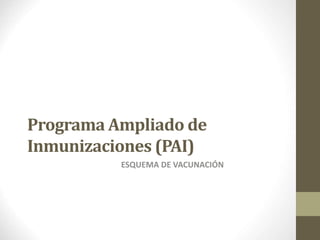 Programa Ampliado de 
Inmunizaciones (PAI) 
ESQUEMA DE VACUNACIÓN 
 