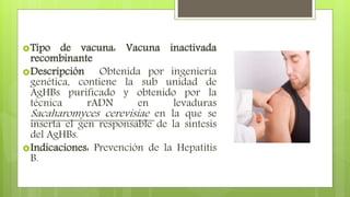 Tipo de vacuna: Vacuna inactivada
recombinante
Descripción Obtenida por ingeniería
genética, contiene la sub unidad de
AgHBs purificado y obtenido por la
técnica rADN en levaduras
Sacaharomyces cerevisiae en la que se
inserta el gen responsable de la síntesis
del AgHBs.
Indicaciones: Prevención de la Hepatitis
B.
 