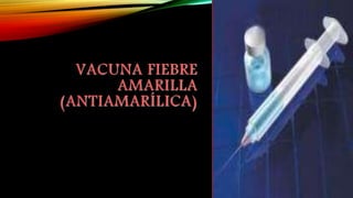 VACUNA FIEBRE
AMARILLA
(ANTIAMARÍLICA)
 