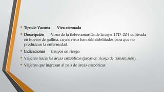 • Tipo de Vacuna Viva atenuada
• Descripción Virus de la fiebre amarilla de la cepa 17D-204 cultivada
en huevos de gallina, cuyos virus han sido debilitados para que no
produzcan la enfermedad.
• Indicaciones Grupos en riesgo:
• Viajeros hacia las áreas enzoóticas (áreas en riesgo de transmisión).
• Viajeros que ingresan al país de áreas enzoóticas.
 