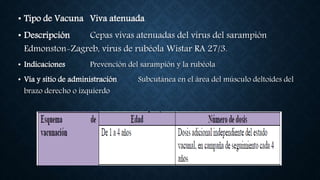 • Tipo de Vacuna Viva atenuada
• Descripción Cepas vivas atenuadas del virus del sarampión
Edmonston-Zagreb, virus de rubéola Wistar RA 27/3.
• Indicaciones Prevención del sarampión y la rubéola
• Vía y sitio de administración Subcutánea en el área del músculo deltoides del
brazo derecho o izquierdo
 