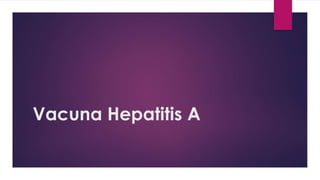 Vacuna Hepatitis A
 