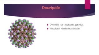 Descripción
 Obtenida por ingeniería genética.
 Fracciones virales inactivadas.
 