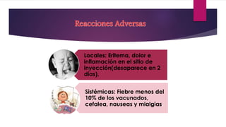 Reacciones Adversas
Locales: Eritema, dolor e
inflamación en el sitio de
inyección(desaparece en 2
días).
Sistémicas: Fiebre menos del
10% de los vacunados,
cefalea, nauseas y mialgias.
 