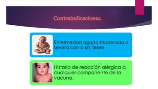 Enfermedad aguda moderada o
severa con o sin fiebre.
Historia de reacción alérgica a
cualquier componente de la
vacuna.
Contraindicaciones:
 