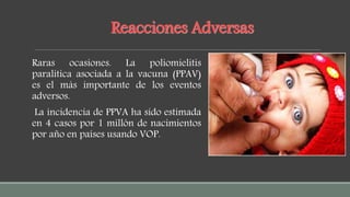 Reacciones Adversas
Raras ocasiones. La poliomielitis
paralitica asociada a la vacuna (PPAV)
es el más importante de los eventos
adversos.
La incidencia de PPVA ha sido estimada
en 4 casos por 1 millón de nacimientos
por año en países usando VOP.
 