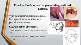 Recolección de muestras para el diagnóstico de
Difteria:
•Tipo de muestras: Hisopado Nasal,
Faríngeo, lesiones cutáneas y
pseudomembranas.
•Cuando deben obtenerse :
1era muestra: Al contacto y antes de iniciar
Tx
2da muestra: 24hras posterior a terminando
Tx AB
 