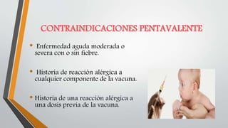 CONTRAINDICACIONES PENTAVALENTE
• Enfermedad aguda moderada o
severa con o sin fiebre.
• Historia de reacción alérgica a
cualquier componente de la vacuna.
• Historia de una reacción alérgica a
una dosis previa de la vacuna.
 