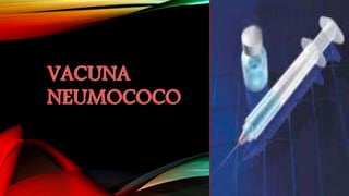 VACUNA
NEUMOCOCO
 