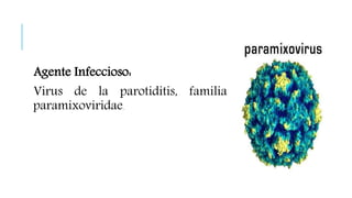 Agente Infeccioso:
Virus de la parotiditis, familia
paramixoviridae.
 