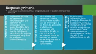 Respuesta primaria
• Después de la administración de una primera dosis se pueden distinguir tres
períodos.
Períododelatencia
Se presenta entre la
aplicación del
inmunobiológico y la
aparición de
anticuerpos en la
sangre tipo IgM, dura
de 24 hrs a 2 sem, en
función del sistema
inmunitario del sujeto y
en composición y dosis
del antígeno
(inmunobiológico).
Períododecrecimiento
Inicia al final del
período de latencia,
alcanzando la máxima
tasa de anticuerpos a
las 4 sem. En general la
producción de
anticuerpos IgM,
precede la de IgG, la
concentración de
anticuerpos puede ser
elevada, en meseta
durante algunos días y
luego decrecer
rápidamente.
Períodode
decrecimiento
declina primero
rápidamente, luego
lentamente. El periodo de
decrecimiento es más o
menos largo, dependiendo
a la vez del nivel de
síntesis o de degradación
de anticuerpos, de la
calidad y cantidad de
estos anticuerpos. Las IgA
y las IgM,  más
rápidamente que las IgG.
 