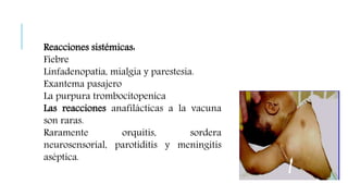 Reacciones sistémicas:
Fiebre
Linfadenopatía, mialgia y parestesia.
Exantema pasajero
La purpura trombocitopenica
Las reacciones anafilácticas a la vacuna
son raras.
Raramente orquitis, sordera
neurosensorial, parotiditis y meningitis
aséptica.
 