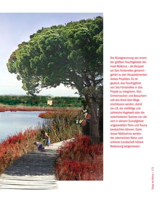 Die Rückgewinnung von einem
der größten Feuchtgebiete der
Insel Mallorca – als Beispiel
sei Ses Fontanelles genannt –
gehört zu den Hauptelementen
dieses Projektes. Es ist
geplant, das Feuchtgebiet
von Ses Fontanelles in das
Projekt zu integrieren. Den
Einheimischen und Besuchern
soll das Areal über Wege
erschlossen werden, damit
sie z.B. die vielfältige und
zahlreiche Vogelwelt oder die
verschiedenen Spezies von der
sich in diesem Sumpfgebiet
angesiedelten Flora und Fauna
beobachten können. Dank
dieser Maßnahme werden
der artenreichen Natur und
schönen Landschaft höhere
Bedeutung beigemessen.
                                Platja de Palma / 173
 