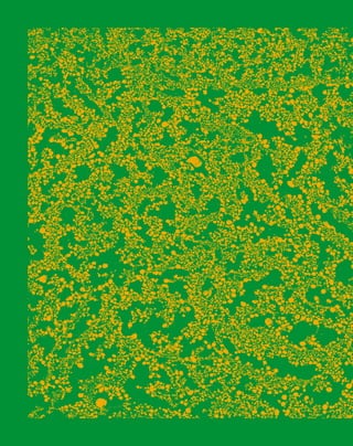 Platja de Palma / 186
 