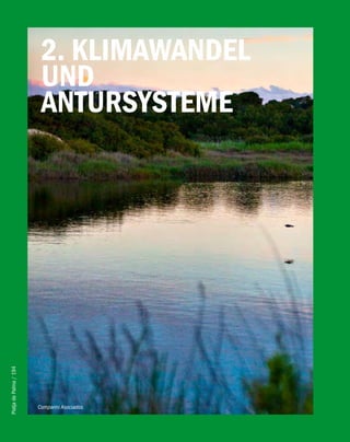 2. KliMAwANDel
                         UND
                         ANTURSySTeMe
Platja de Palma / 194




                        Comparini Asociados
 