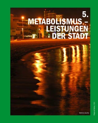5.
MeTAbOliSMUS –
    leiSTUNGeN
      DeR STADT




                               Platja de Palma / 211




            Mallorca Quality
 