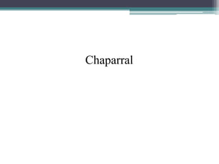 Chaparral
 