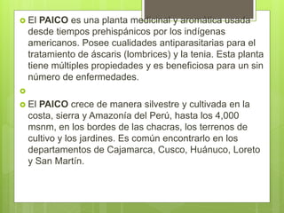  El PAICO es una planta medicinal y aromática usada
desde tiempos prehispánicos por los indígenas
americanos. Posee cualidades antiparasitarias para el
tratamiento de áscaris (lombrices) y la tenia. Esta planta
tiene múltiples propiedades y es beneficiosa para un sin
número de enfermedades.

 El PAICO crece de manera silvestre y cultivada en la
costa, sierra y Amazonía del Perú, hasta los 4,000
msnm, en los bordes de las chacras, los terrenos de
cultivo y los jardines. Es común encontrarlo en los
departamentos de Cajamarca, Cusco, Huánuco, Loreto
y San Martín.
 