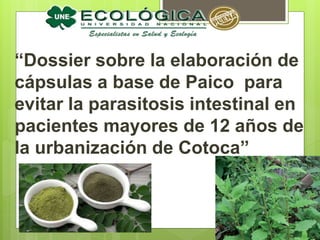 “Dossier sobre la elaboración de
cápsulas a base de Paico para
evitar la parasitosis intestinal en
pacientes mayores de 12 años de
la urbanización de Cotoca”
 