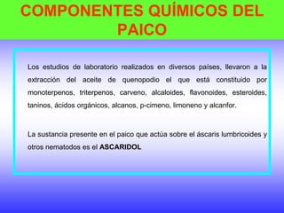 COMPONENTES QUÍMICOS DEL
PAICO
Los estudios de laboratorio realizados en diversos países, llevaron a la
extracción del aceite de quenopodio el que está constituido por
monoterpenos, triterpenos, carveno, alcaloides, flavonoides, esteroides,
taninos, ácidos orgánicos, alcanos, p-cimeno, limoneno y alcanfor.
La sustancia presente en el paico que actúa sobre el áscaris lumbricoides y
otros nematodos es el ASCARIDOL
 
