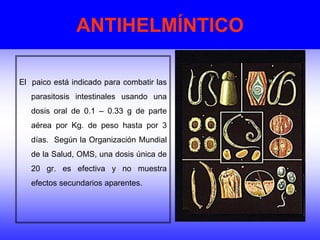 ANTIHELMÍNTICO
El paico está indicado para combatir las
parasitosis intestinales usando una
dosis oral de 0.1 – 0.33 g de parte
aérea por Kg. de peso hasta por 3
días. Según la Organización Mundial
de la Salud, OMS, una dosis única de
20 gr. es efectiva y no muestra
efectos secundarios aparentes.
 