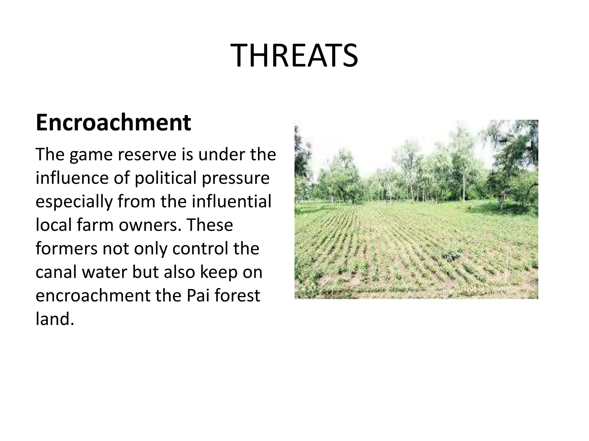 THREATS
Encroachment
The game reserve is under the
influence of political pressure
especially from the influential
local farm owners. These
formers not only control the
canal water but also keep on
encroachment the Pai forest
land.
 