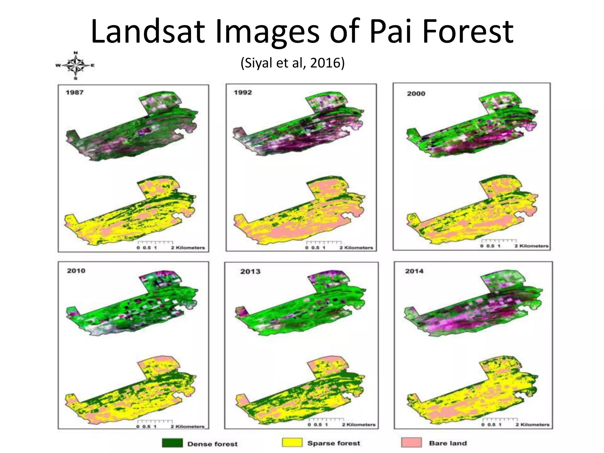 Landsat Images of Pai Forest
(Siyal et al, 2016)
 