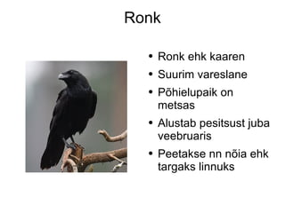 Ronk Ronk ehk kaaren Suurim vareslane Põhielupaik on metsas Alustab pesitsust juba veebruaris Peetakse nn nõia ehk targaks linnuks 