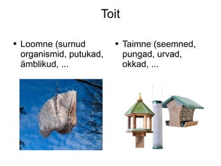 Toit Loomne (surnud organismid, putukad, ämblikud, ... Taimne (seemned, pungad, urvad, okkad, ... 