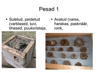 Pesad 1 Suletud, peidetud (varblased, tuvi, tihased, puukoristaja, porr,  Avatud (vares, harakas, pasknäär, ronk,  