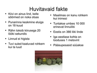 Huvitavaid fakte Kiivi on ainus lind, kelle sõõrmed on noka otsas Punarinna keskmine eluiga on 18 kuud Rähn toksib kiirusega 20 lööki sekundis Linnud ei higista Tuvi suled kaaluvad rohkem kui ta luud Maailmas on kanu rohkem kui inimesi Tuntakse umbes 10 000 erinevat linnuliiki Eestis on 366 liiki linde Iga eestlase kohta on looduses 1 metsvint Pääsupesasid süüakse 