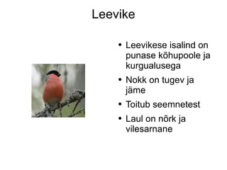 Leevike Leevikese isalind on punase kõhupoole ja kurgualusega Nokk on tugev ja jäme Toitub seemnetest Laul on nõrk ja  vilesarnane 