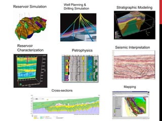Mapping
Reservoir
Characterization
Cross-sections
Petrophysics
Reservoir Simulation
Well Planning &
Drilling Simulation Stratigraphic Modeling
Seismic Interpretation
 