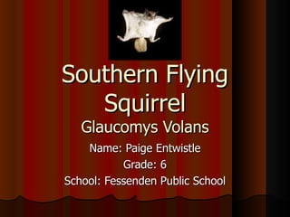 Southern Flying Squirrel Glaucomys Volans Name: Paige Entwistle Grade: 6 School: Fessenden Public School 