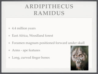 ARDIPITHECUS
           RAMIDUS

4.4 million years

East Africa, Woodland forest

Foramen magnum positioned forward under skull

Arms - ape features

Long, curved ﬁnger bones
 