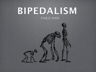 BIPEDALISM
   PAIGE WISE
 