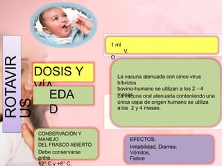 ROTAVIR
US
DOSIS Y
VÍA
EDA
D
1 ml
V.
O
La vacuna atenuada con cinco virus
híbridos
bovino-humano se utilizan a los 2 – 4
meses
.
La vacuna oral atenuada conteniendo una
única cepa de origen humano se utiliza
a los 2 y 4 meses.
CONSERVACIÓN Y
MANEJO
DEL FRASCO ABIERTO
Debe conservarse
entre
+2° C y +8° C.
EFECTOS:
Irritabilidad, Diarrea,
Vómitos,
Fiebre
 