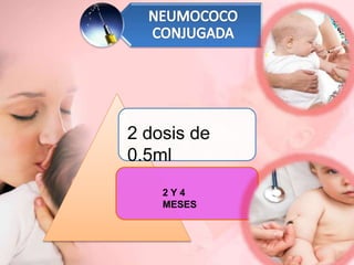 2 dosis de
0.5ml
2 Y 4
MESES
 
